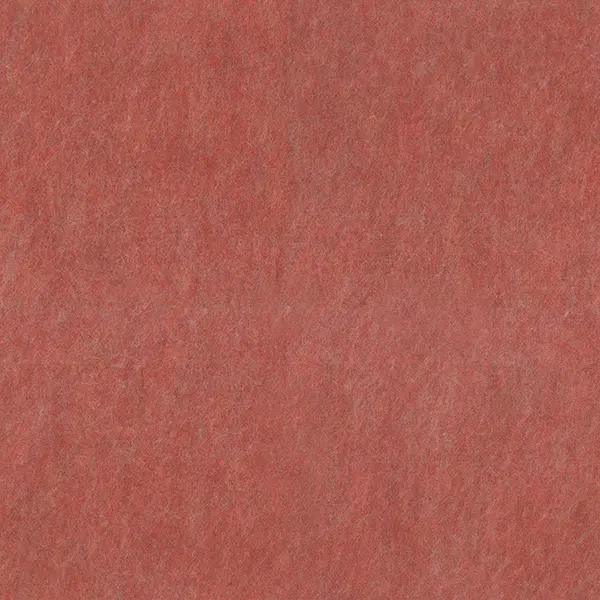 BA21 (B69) Red