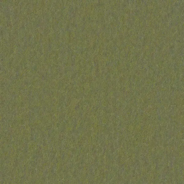BA25 (B73) Moss Green