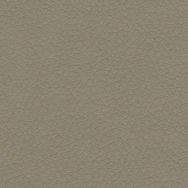 DZ10 - Светло-коричневый