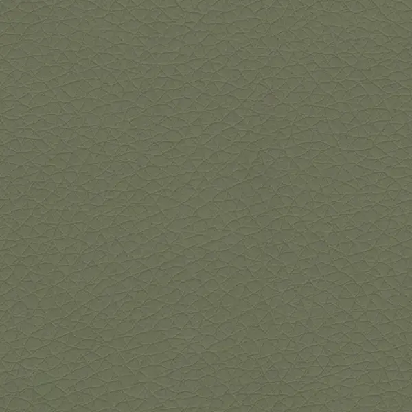 DZ13 - Зеленый