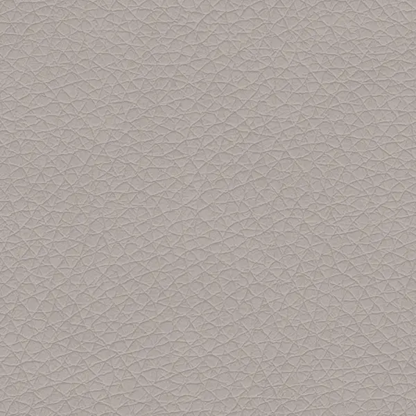 DZ09 (D21) Светло-серый