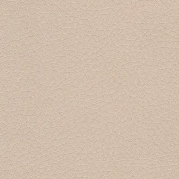 DZ04 (D16) Слоновая кость