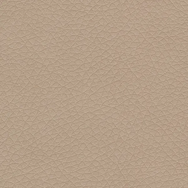 DZ05 (D17) Бежевый